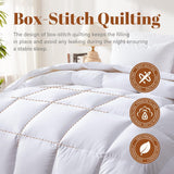 Twin Feather Down Fiber Comforter - Ultra Soft 100% Cotton Duvet Insert