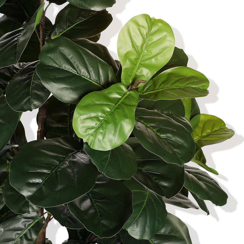 Fiddle Leaf Fig Tree Artificial 6ft with Sturdy White Planter