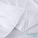 Comforter Duvet Insert, Quilted Comforter with Corner Tabs, Box Stitched Down Alternative Comforters Queen (White)