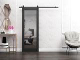 Lucia 1299 | Interior Single Sliding barn Door with Mirror, Solid Wood, 42x96, Black, Modern Style |