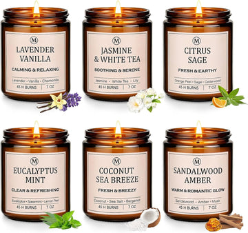 Scented Candles, 6-Pack Soy Candle Gift Set, Up to 300 Hours - Set of 6