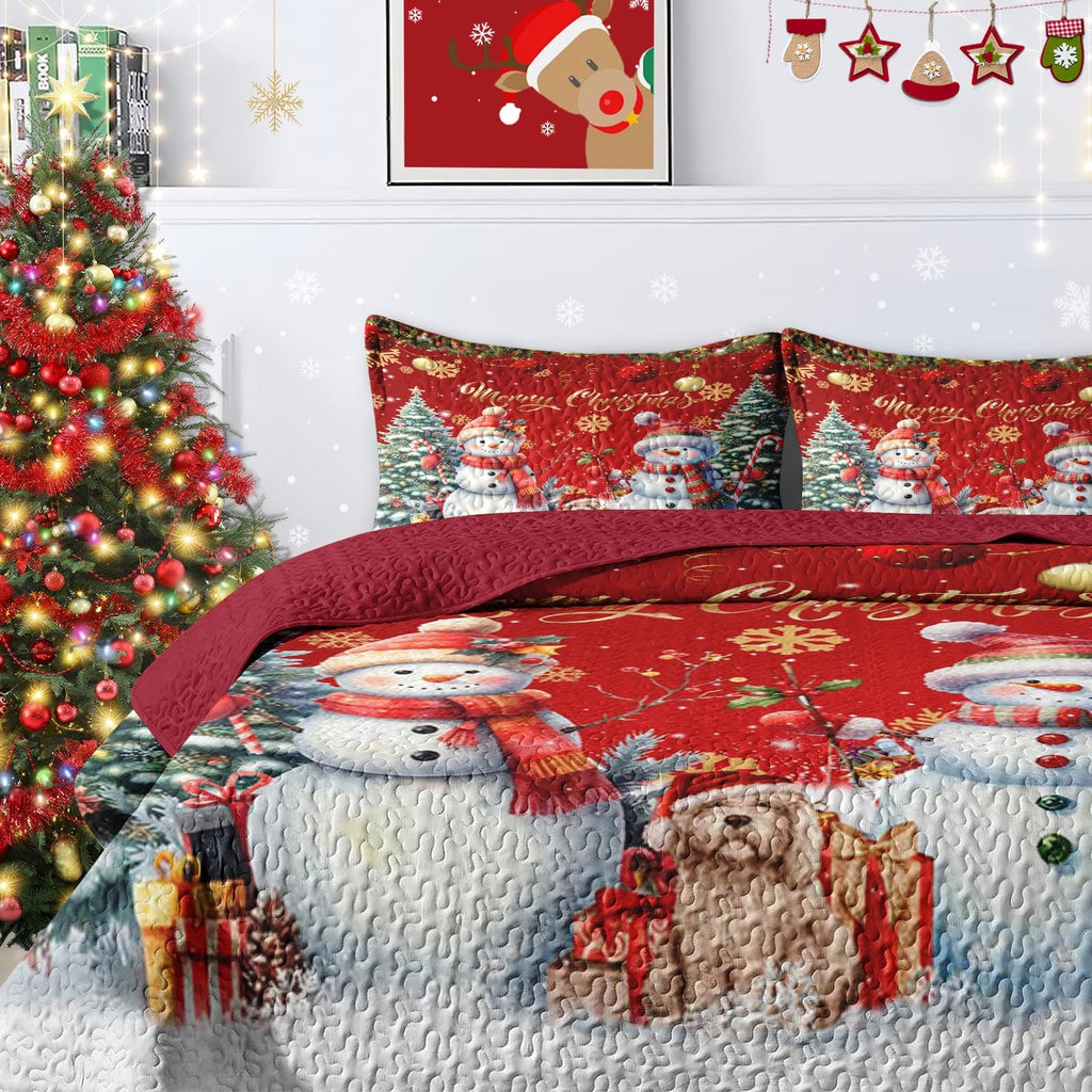 King Christmas Quilt Set, 3 Piece Snowflake Bedding, Bedspreads