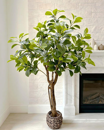 Artificial Ficus Tree, Floor Plant in Woven Basket Indoor Decor