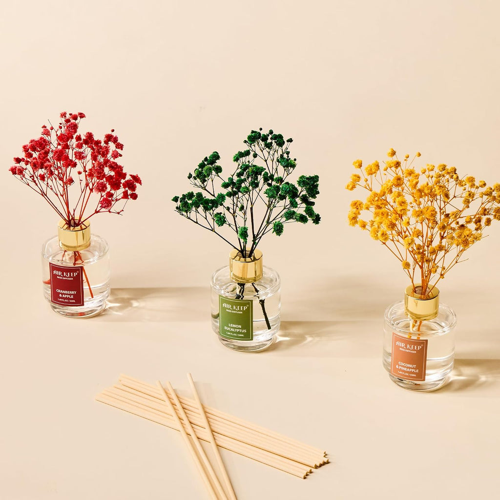 Reed Diffuser, Coconut Pineapple Lemon Eucalyptus Cranberry Apple Oil Reed Diffusers Living Room Office - Set of 3