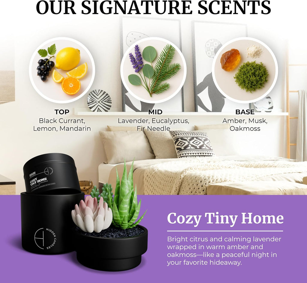 Hidden Candle - Cozy Tiny Home | Vanilla, Lavender & Eucalyptus Scented Candle with Faux Succulent | 10.6oz Soy Wax - Set of 106