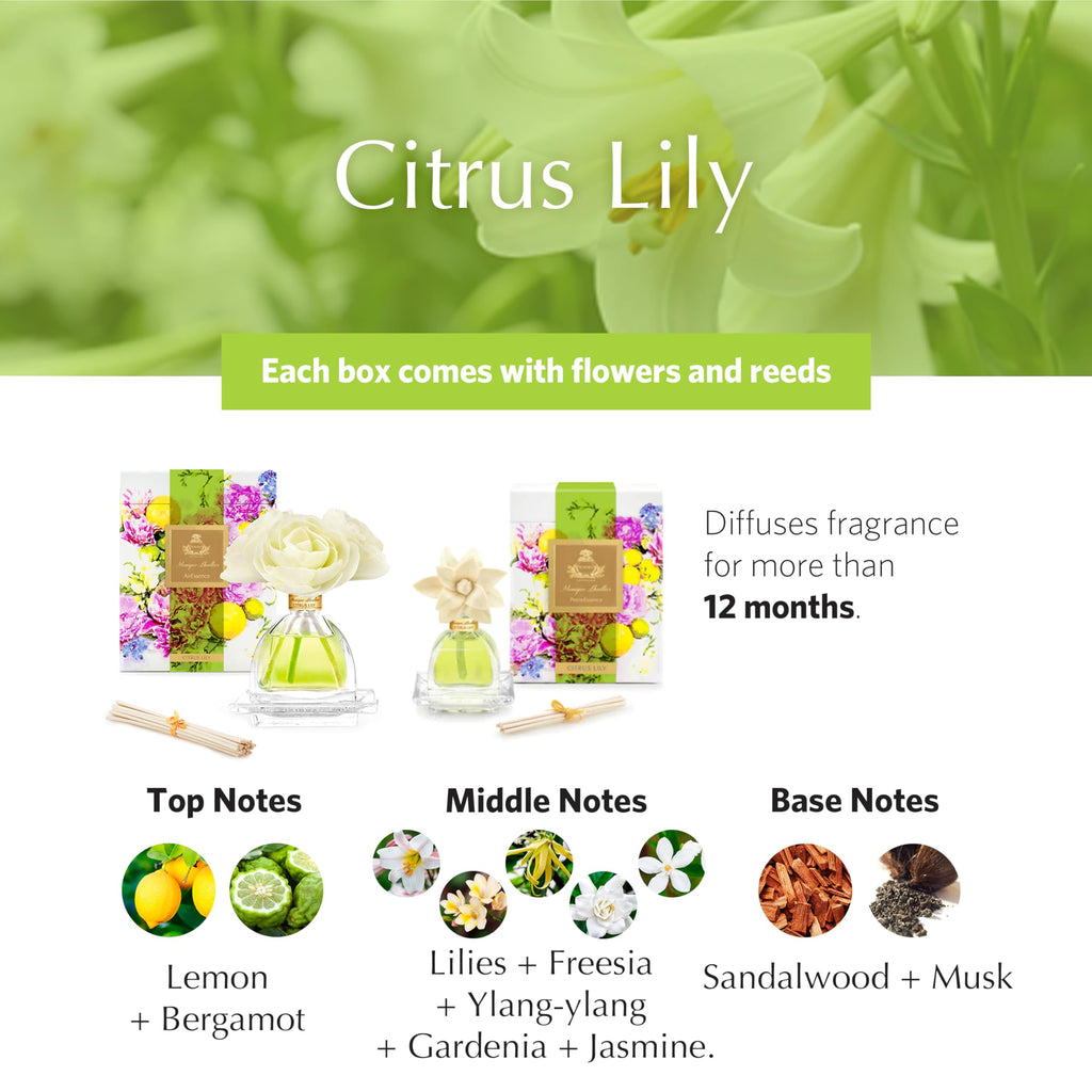 Monique Lhuillier Citrus Lily Reed Diffuser Set, Air Essence & Petite Essence Luxury Fragrance Duo with Natural