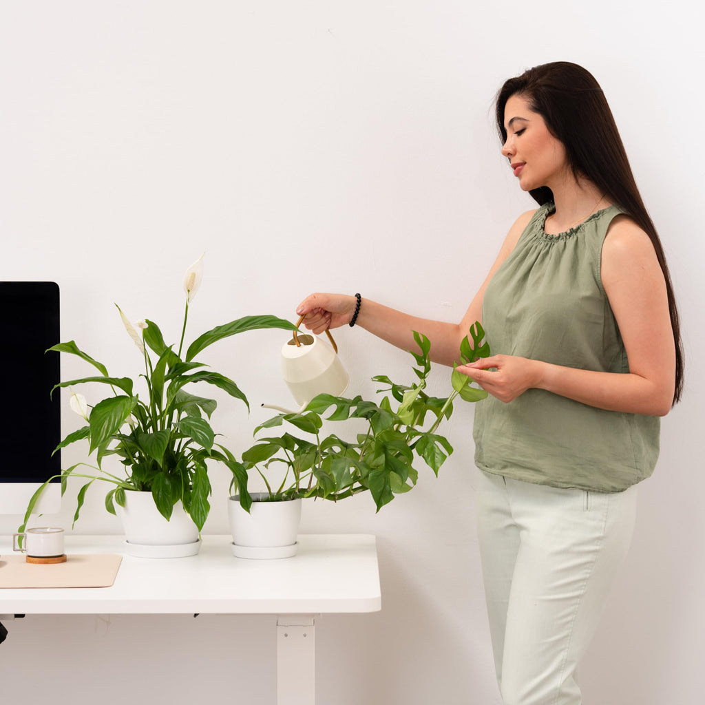 Set of 2 Minimalist Plant Pots (6.5" & 5.5") - Modern Indoor Planters with Drainage & Saucers & Plugs - Durable