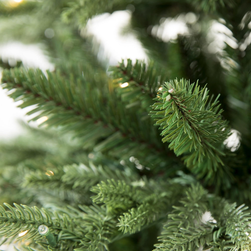 5ft Fine Shape Nordmann Fir Christmas Tree (5ft Unlit)