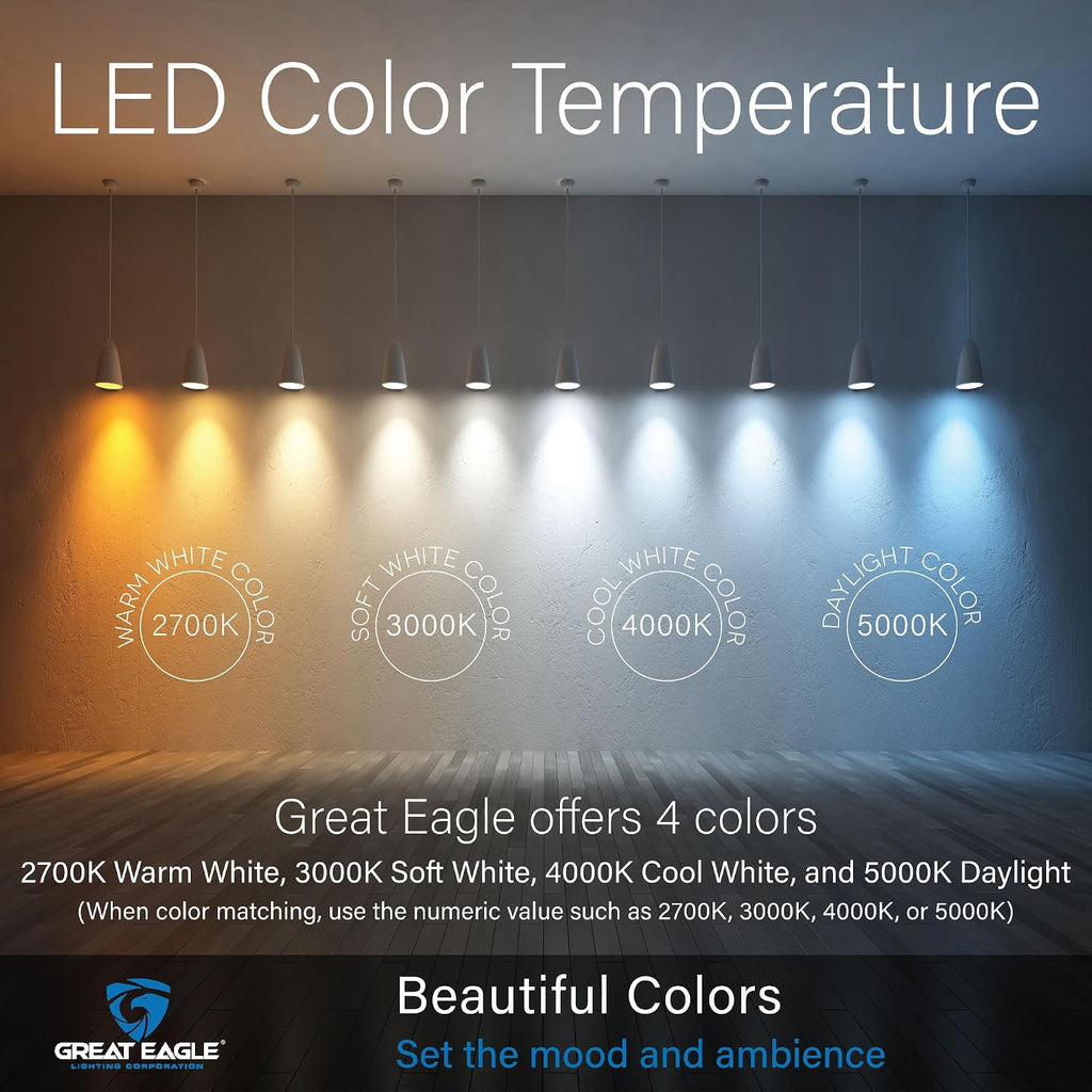Eagle A19 LED Light Bulbs - 100W Equivalent (15W), Daylight 5000K, 1500 Lumens, Non-Dimmable, UL-Listed