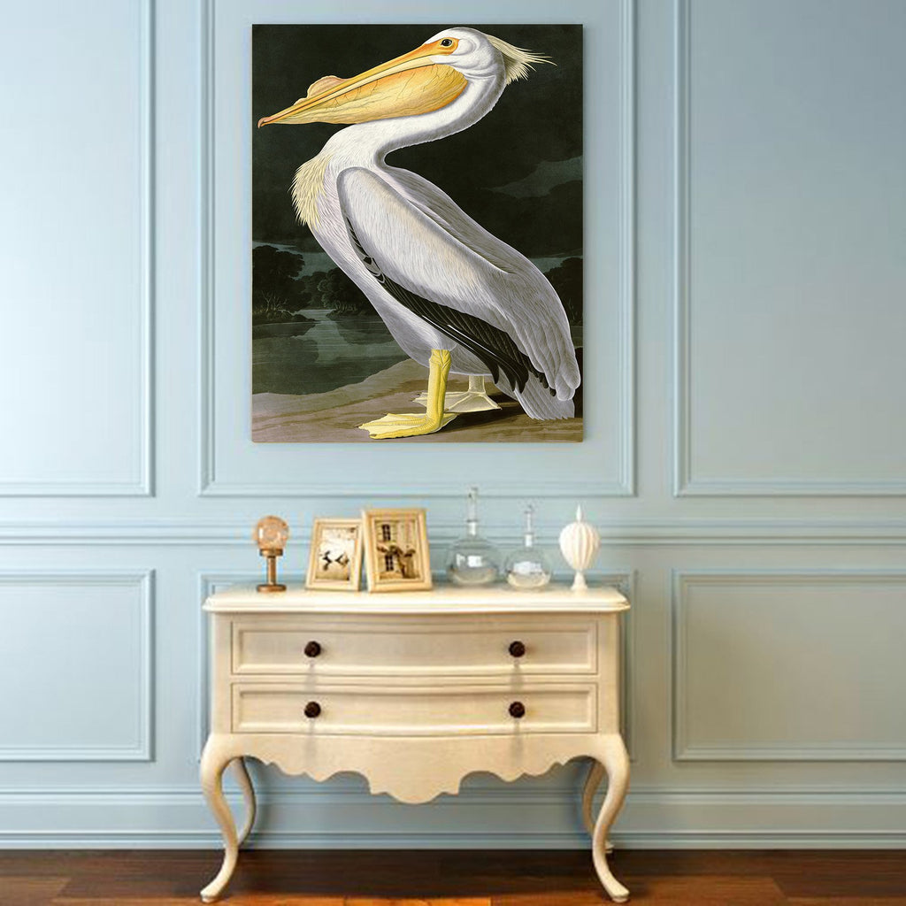 ART - American White Pelican, by John James Audubon. The Birds of America Reproductions. Giclee Print Acrylic Coating