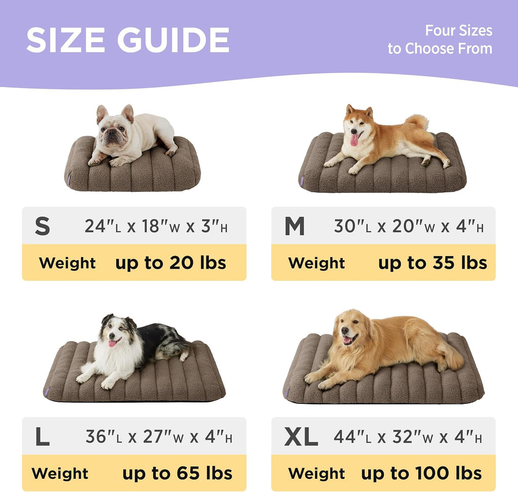 Cute Orthopedic Dog Bed Medium Size Dog, Waterproof Chic Flat Pet Beds with Removable Washable Cover, Fuzzy Thick Egg