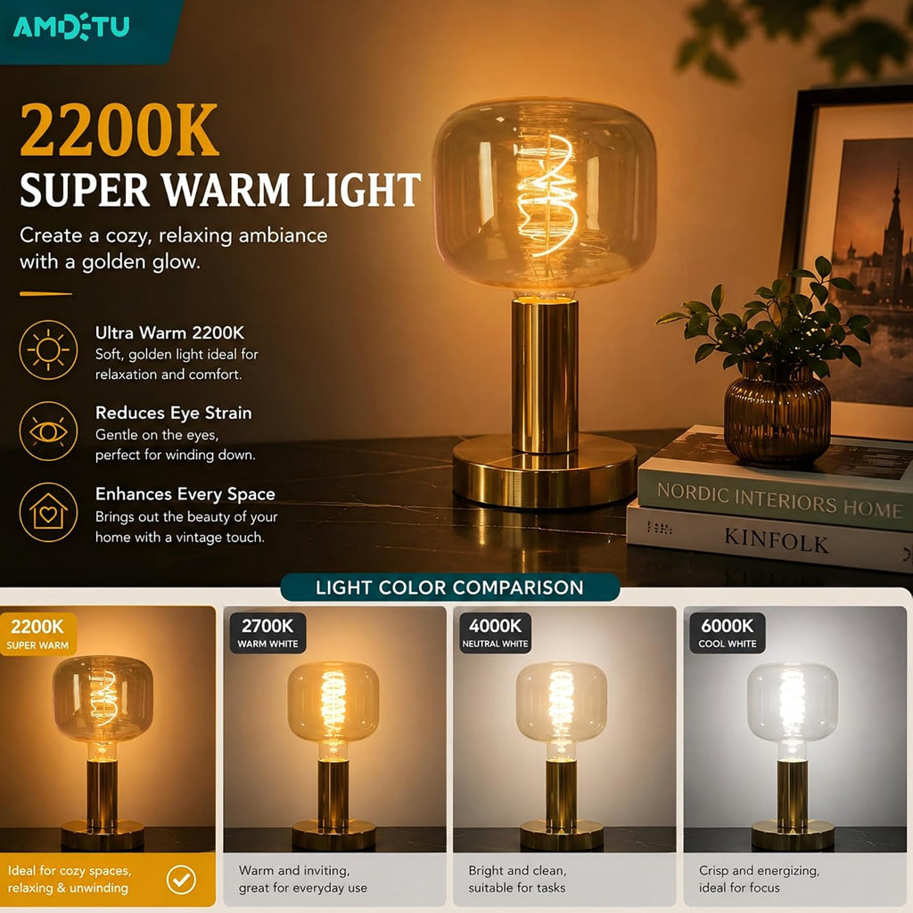 Large Amber Oversized LED Edison Bulb Dimmable 2200K E26 5W (40W Eq) 1PK