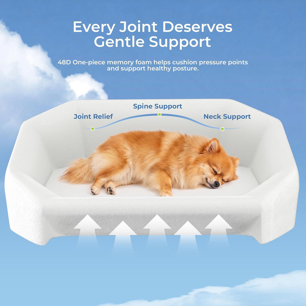 Dog Bed for Small Dogs with 3 Covers, Extra Thick Memory Foam