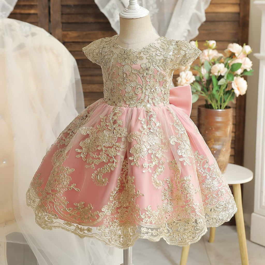 Baby Girl Tutu Dress Princess Lace Embroidery Wedding Party Gown