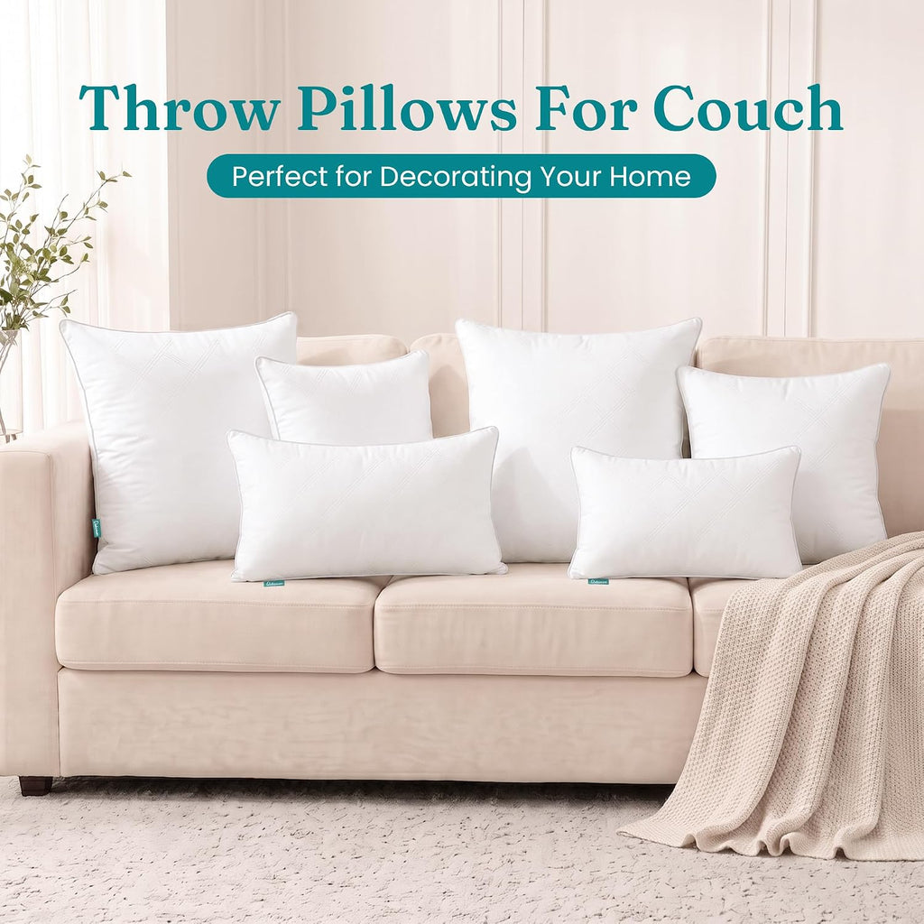 20x20 Throw Pillow Inserts, Soft Decorative Couch Cushion - Set of 2