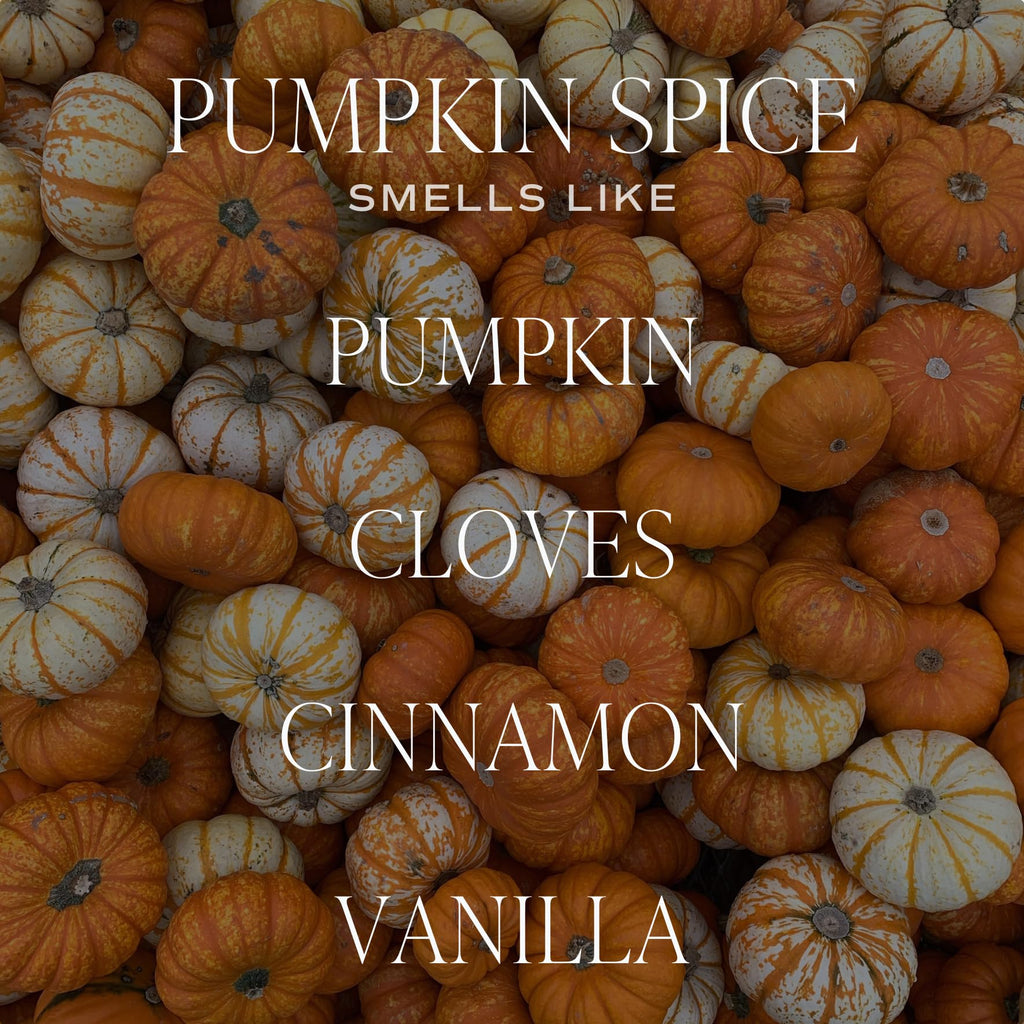 Pumpkin Spice Reed Diffuser, Autumn Scented Premium Fragrance, Long-Lasting Air-Freshener, Cozy Fall Gift for Women