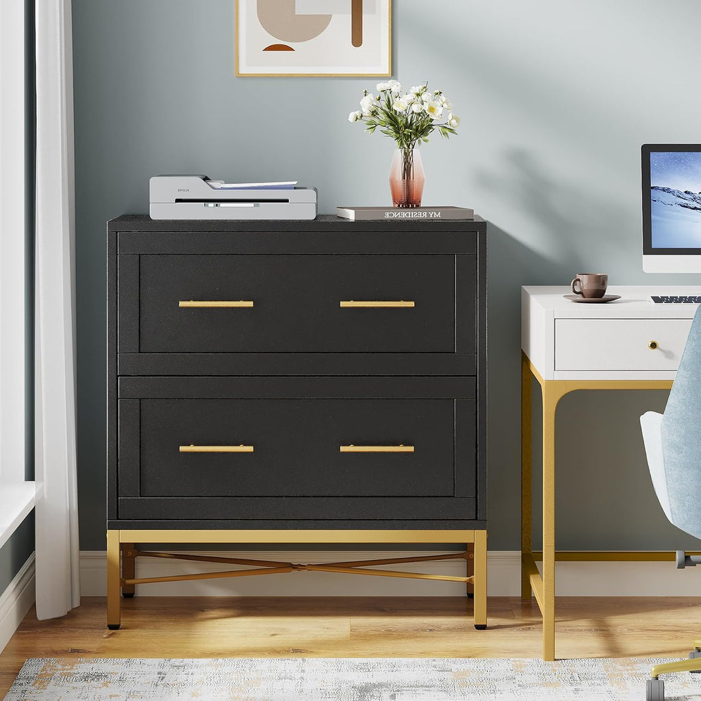 2 Drawer File Cabinet, Modern Wood Lateral Filing Cabinet for Letter/Legal/A4 Size, Large File Storage Cabinets