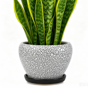 8 Inch Plant Pots- Ceramic Pots for Plants with Drainage Hole and Saucer, Large Planter Pot for Indoor Plants Outdoor