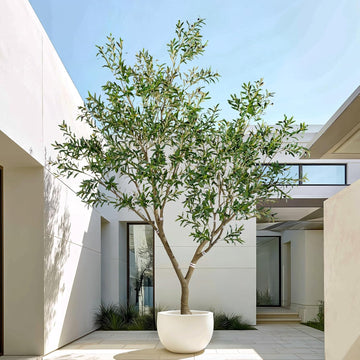 10ft Faux Olive Tree with White Pot & Moss, Artificial Olive Tree Indoor Outdoor, PE/PVC Leaves, Realistic Resin