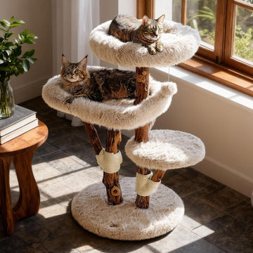 Maine Coon Cat Tree for Large Cats, Solid Wood Cat Tower with Removable Cushions and Sisal Scratching Posts, Modern