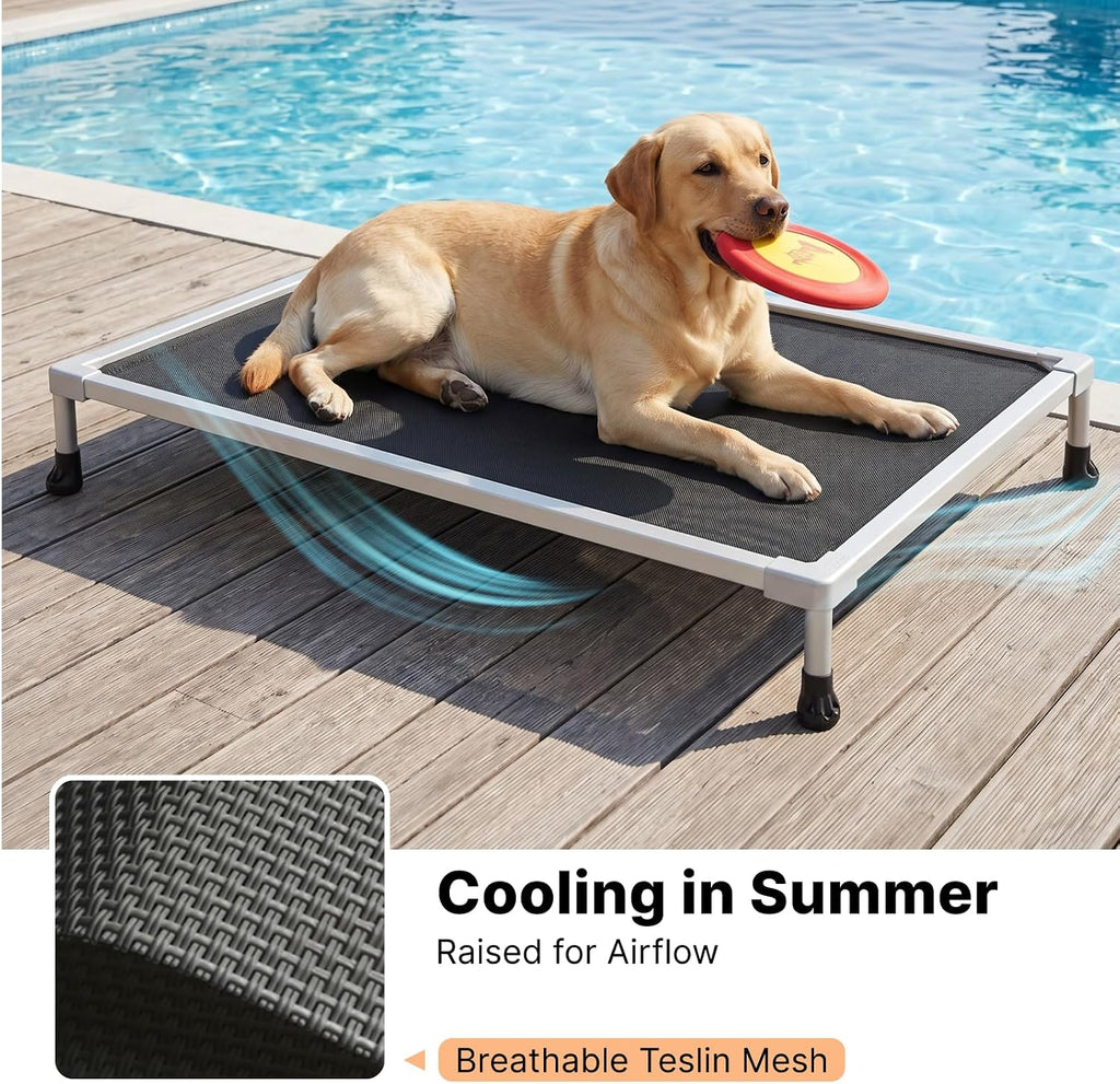 Chew Proof Elevated Dog Bed, Silver Aluminum Dog Cot, Pre-Assembled