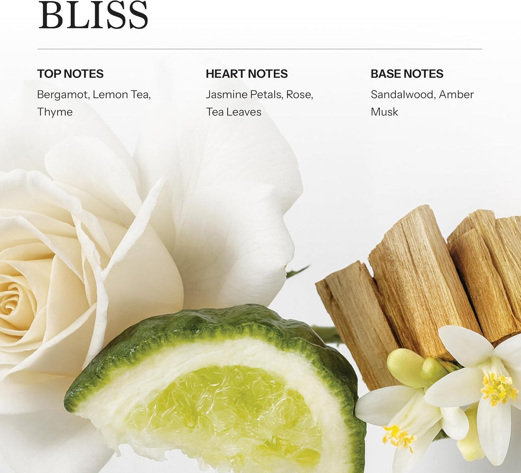 Bliss Reed Diffuser Oil Refill 100ml 3.38 oz Premium Home Fragrance - Set of 338