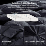 Luxurious All-Season Goose Down Feather Fiber Comforter Queen Duvet Insert, Exquisite Black Pinch Pl