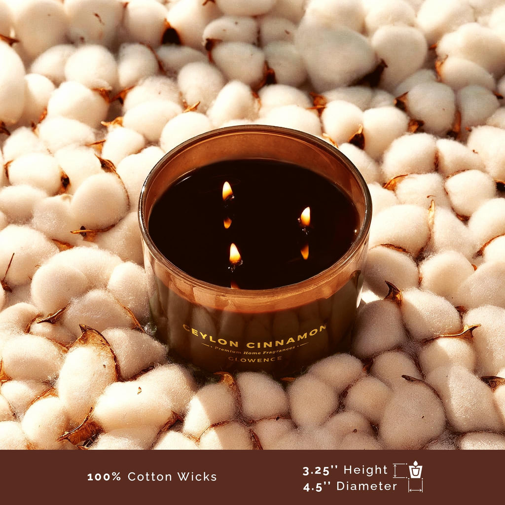 Luxury Cinnamon Scented Fall Candle - Housewarming Fall & Christmas Candle - Elegant Gift for Women & Men - 100%