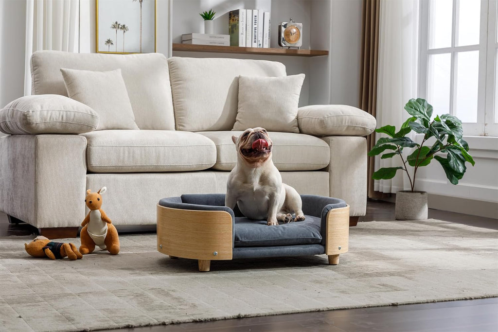Scandinavian Style Elevated Dog Bed Pet Sofa with Solid Wood Legs and Bent Wood Back, Velvet Cushion, Mid Size, Dark