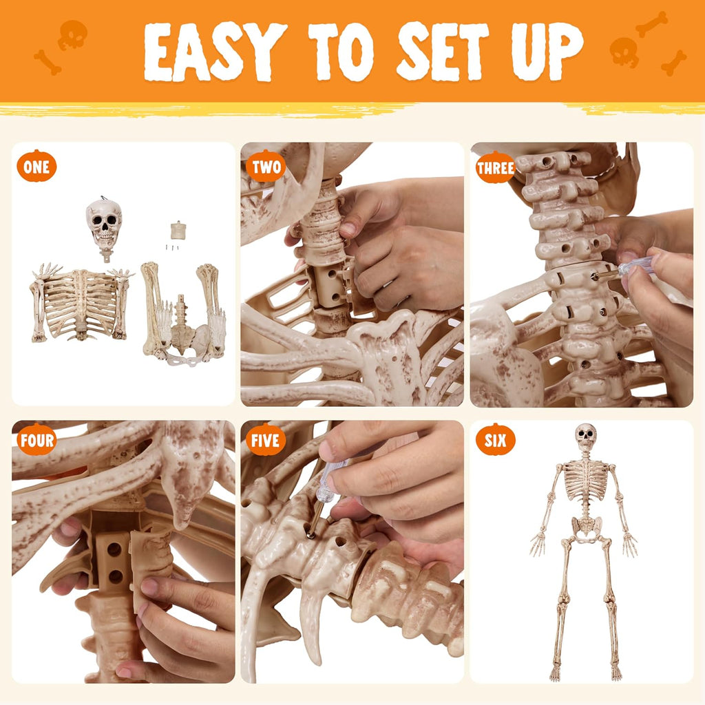 5.6 FT Halloween Posable Life Size Skeleton, Full Body Realistic Bones with Movable Joints, Giant Skeletons Halloween