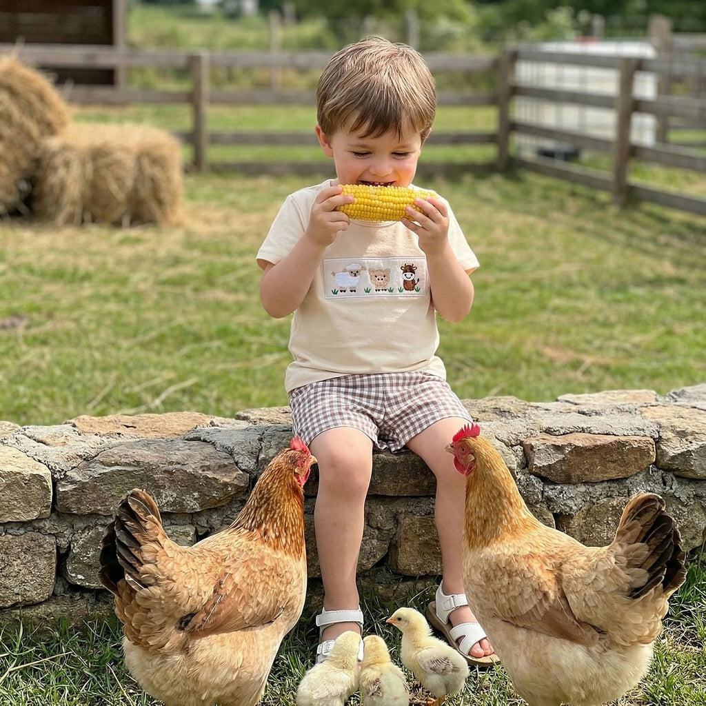 Toddler Baby Boy Summer Outfits 12 18 Boys Clothes Retro Farm Shirt Baby Tee + Shorts Set