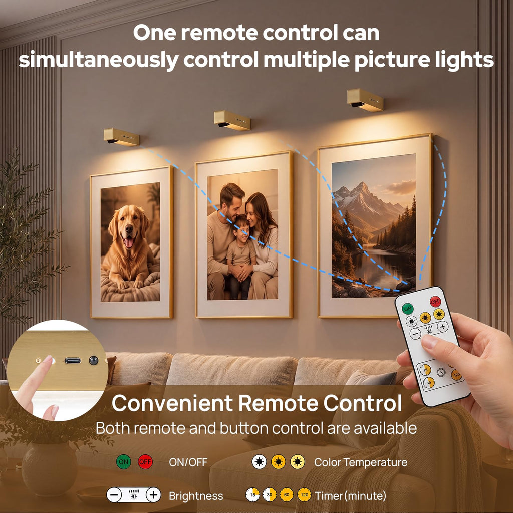 Picture Lights for Wall with 90° Adjustable Head, Metal Rechargeable LED Art Lights with Remote, 3CCT Dimmable