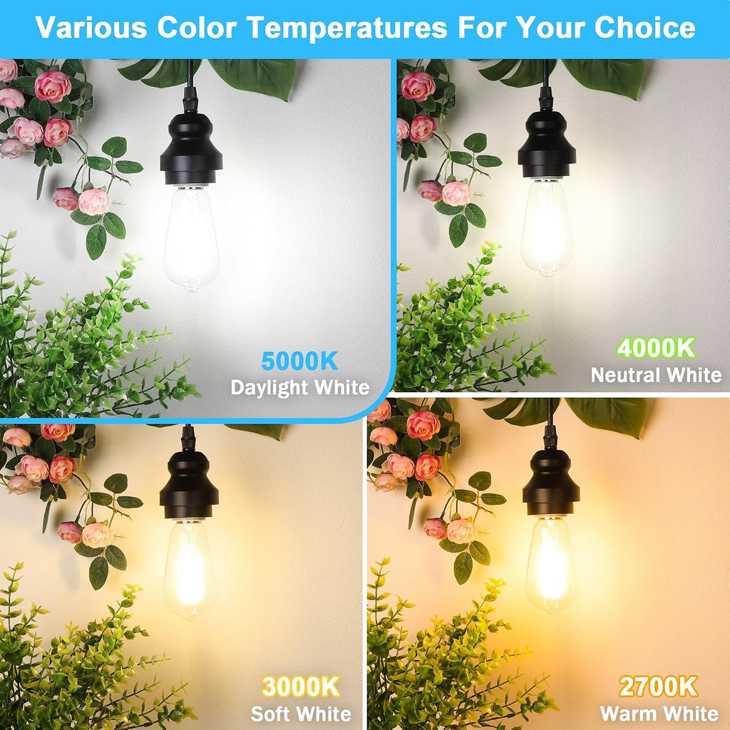 Vintage LED Edison Bulbs 60W Equivalent 850 Lumens, 6W Edison Light Bulb Daylight White 5000K, ST58 LED Filament Bulb