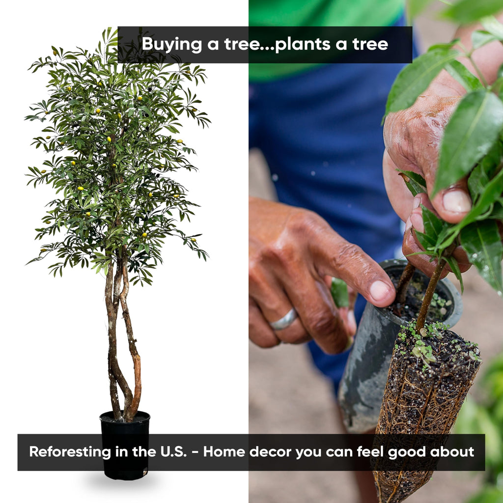 Handmade 6.5ft Mediterranean Olive Artificial Tree with Ethically Sourced Real Wood Trunks, Hypoallergenic, 6.5-Foot
