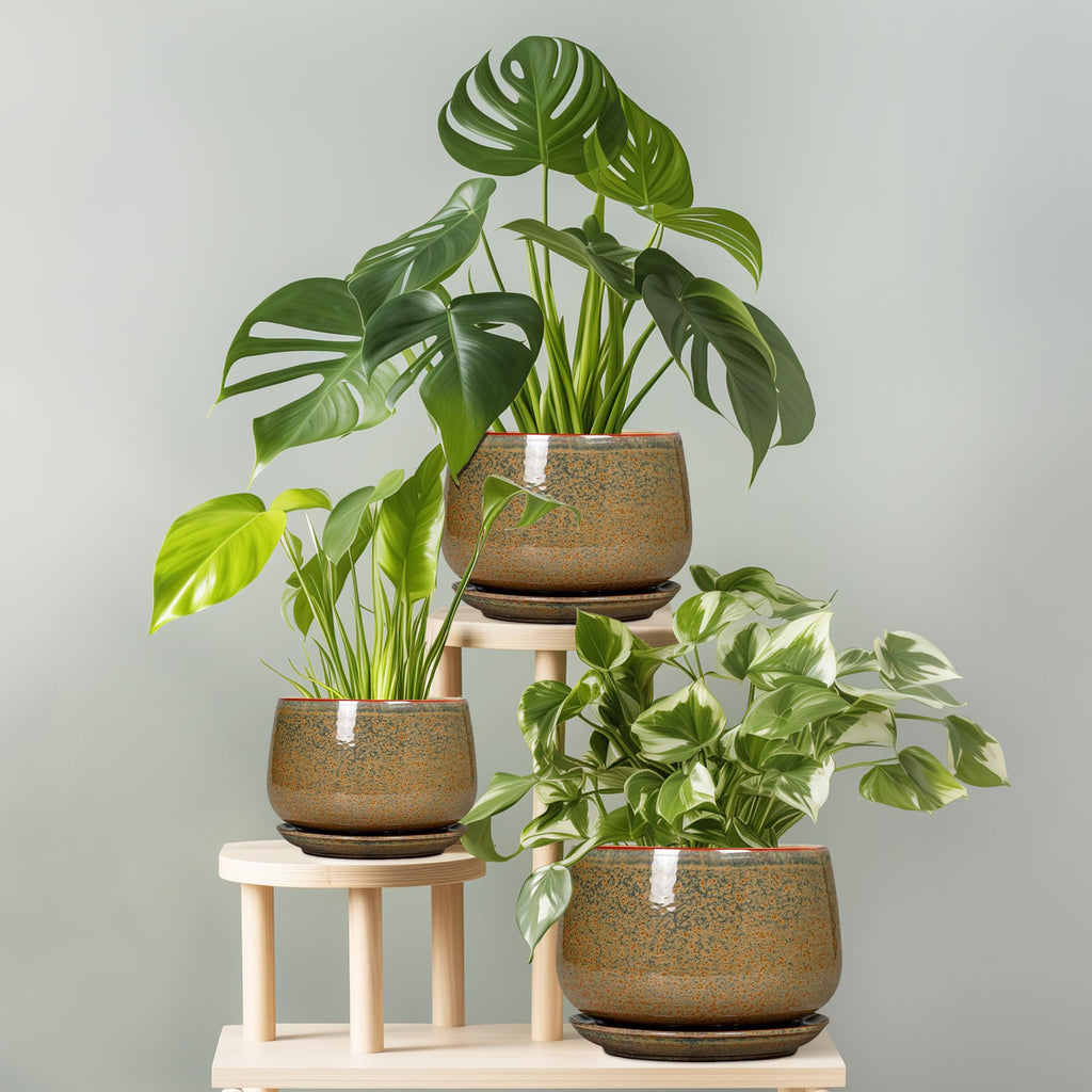6 Inch Plant Pot - Ceramic Succulent Pots with Drainage and Ceramic Tray, Round Planter for Indoor Outdoor Plants