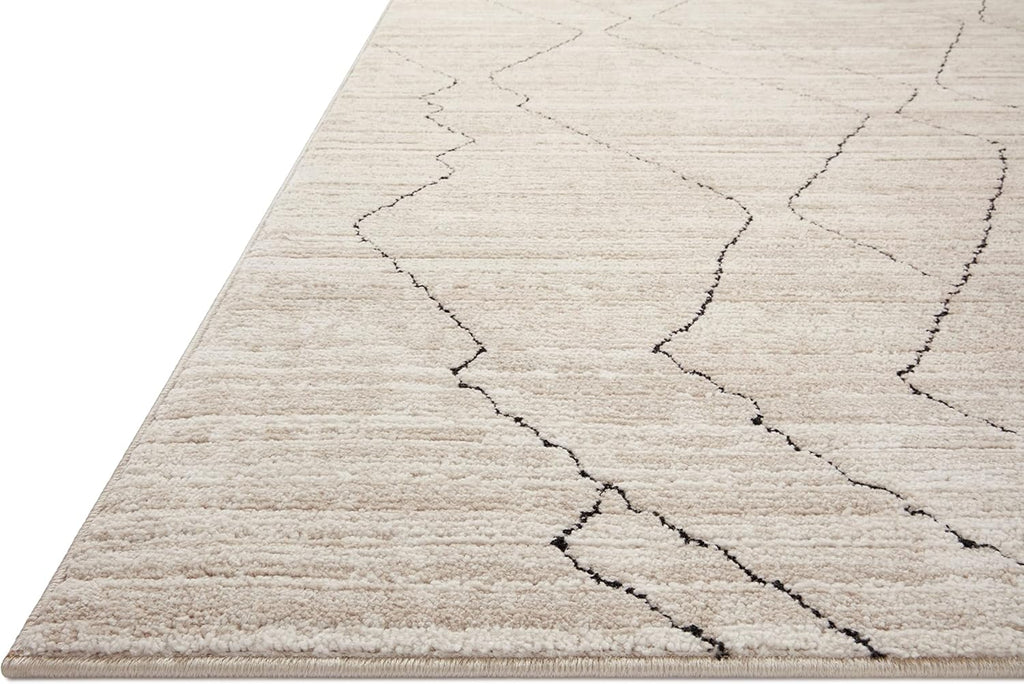 Darby Collection DAR-03 Sand/Charcoal 7'-10" x 10' Area Rug