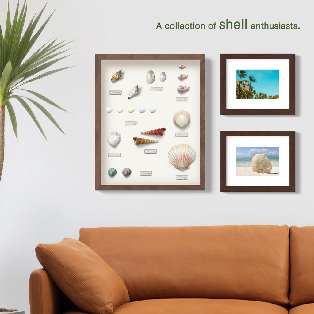 16x20 Driftwood Wooden Shadow Box Frame - Soft Felt Back, Tempered Glass, and Included Elegant White Ball Push Pins
