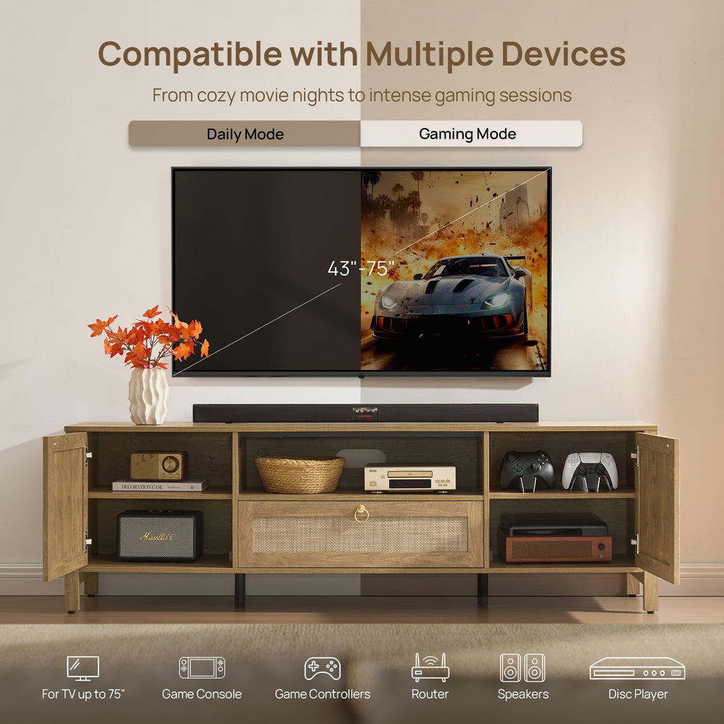 69" Rattan TV Stand with Storage