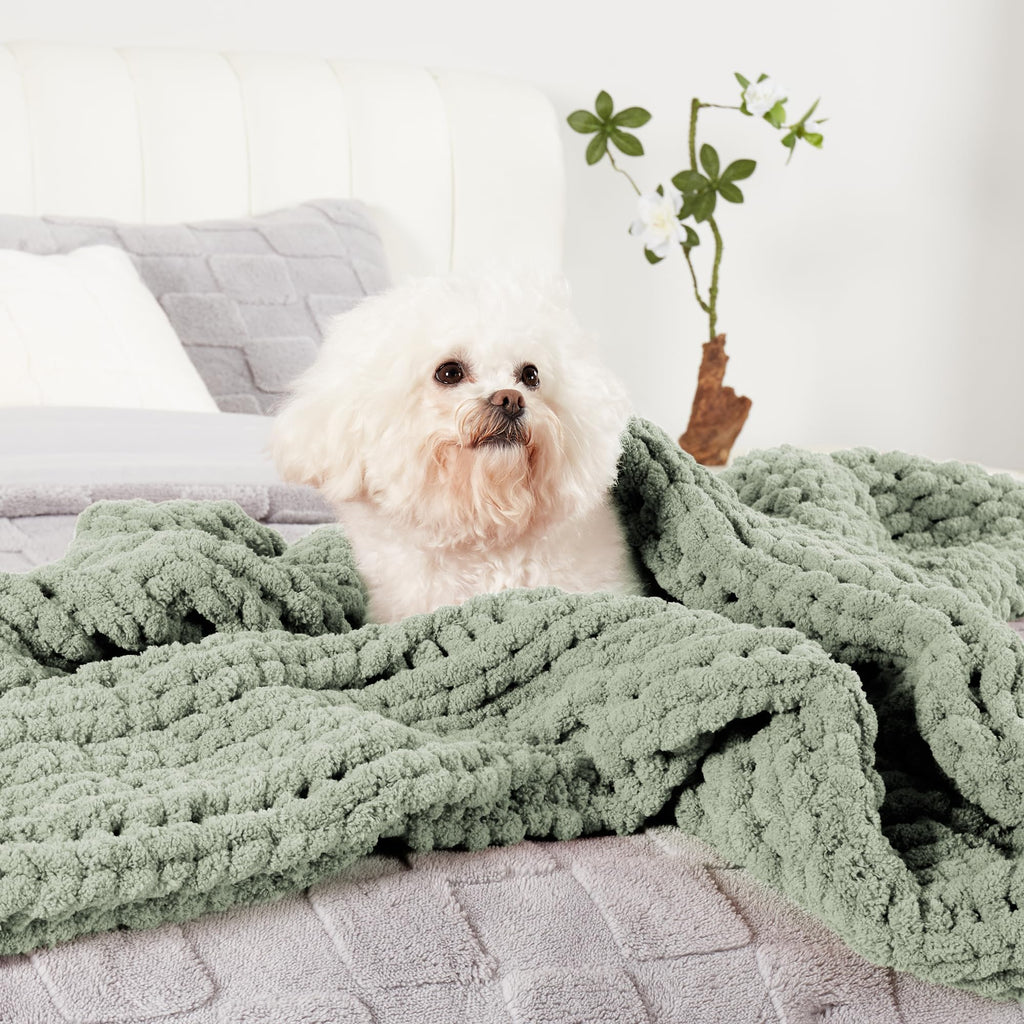 Chenille Chunky Knit Throw Blanket 50"x60", Sage Green
