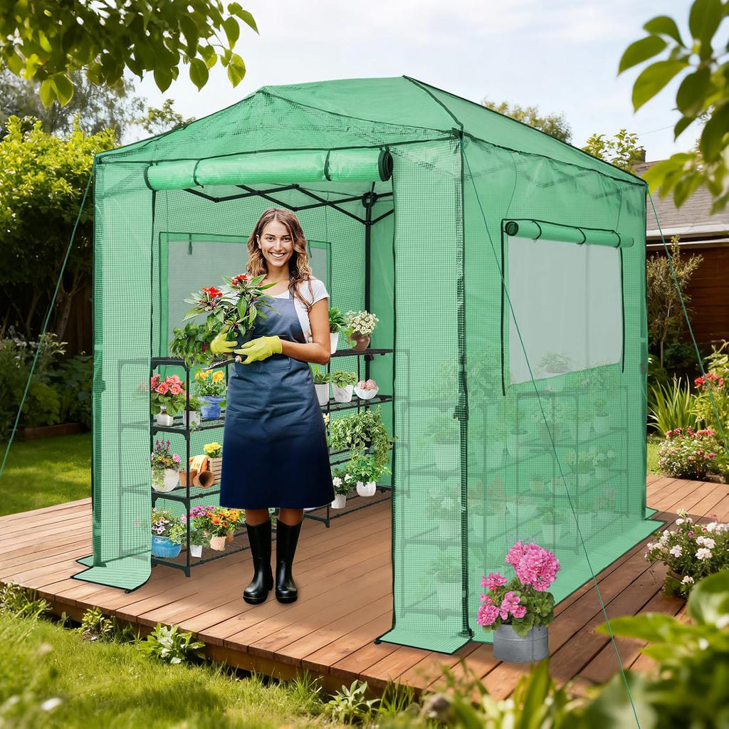 8x6 Easy Setup Pop Up Greenhouse, Clear/Green | Walk-In Greenhouses for Outdoors, Green House for Winter Protection