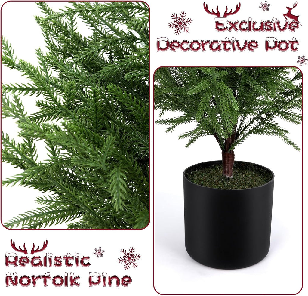 4FT Prelit Norfolk Pine Christmas Tree with 80LED Lights, Battery Operated
