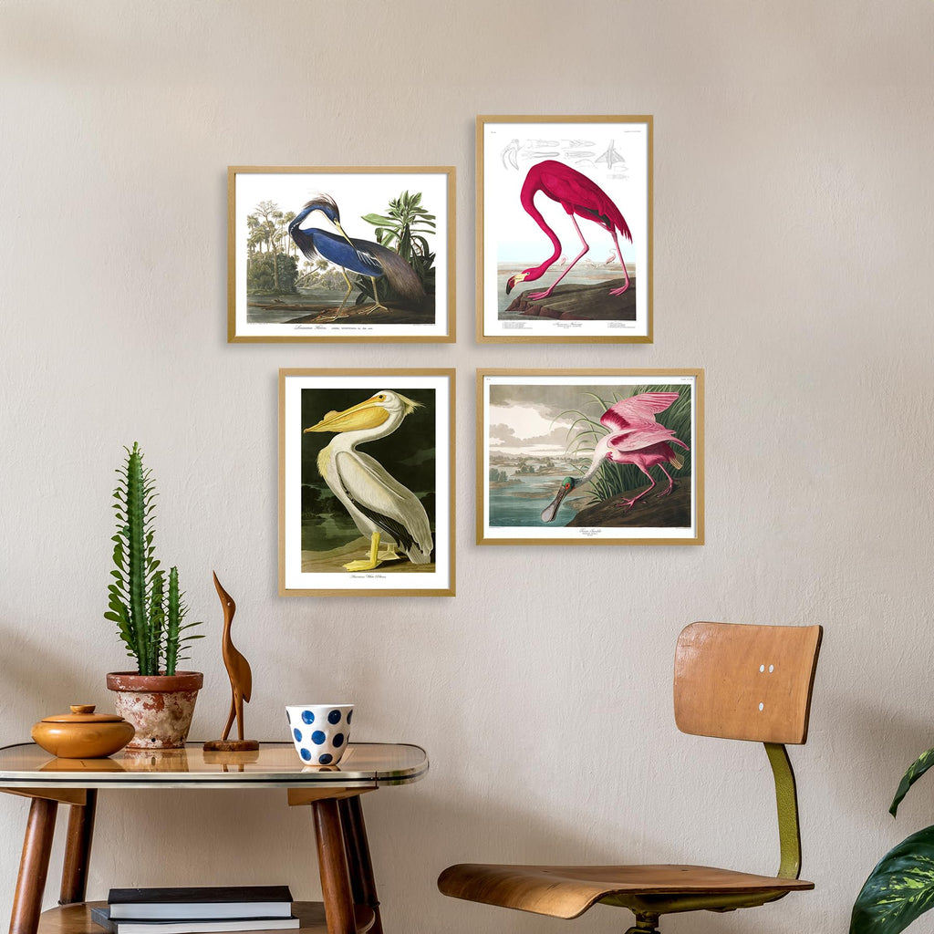 Birds Vintage Posters - Set of Wall Art Audubon Bird Poster Nature (12x16)