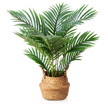 Fake Majesty Palm Plant 2Ft Artificial Plants Indoor with Basket