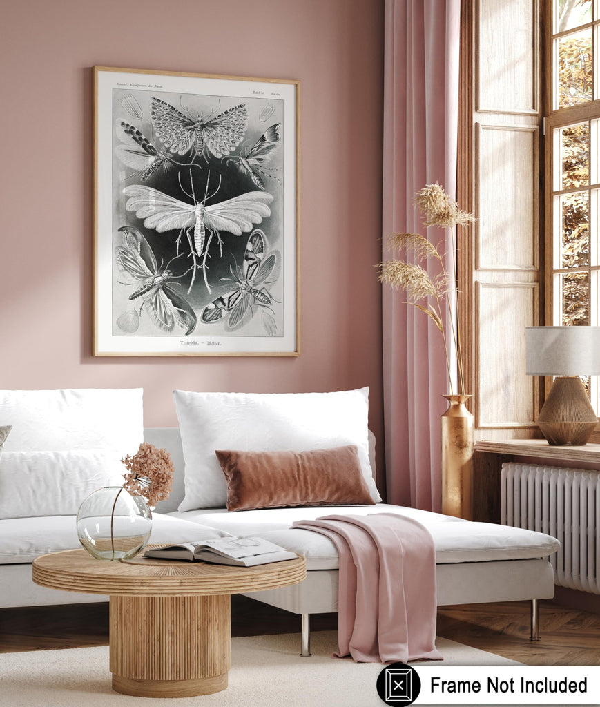 Master Tineida Moth Print - Ernst Haeckel Poster - Insect Biodiversity Art - Wildlife Wall Design - Gift for Men &