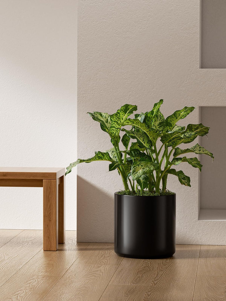 12 Inch Pot for Plants, Ceramic Indoor Planter, Black