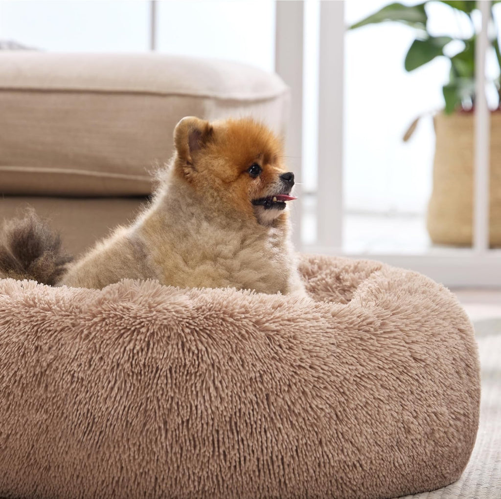 Calming Cat Beds Donut Round Washable Kitten Bed, 20 inches Camel