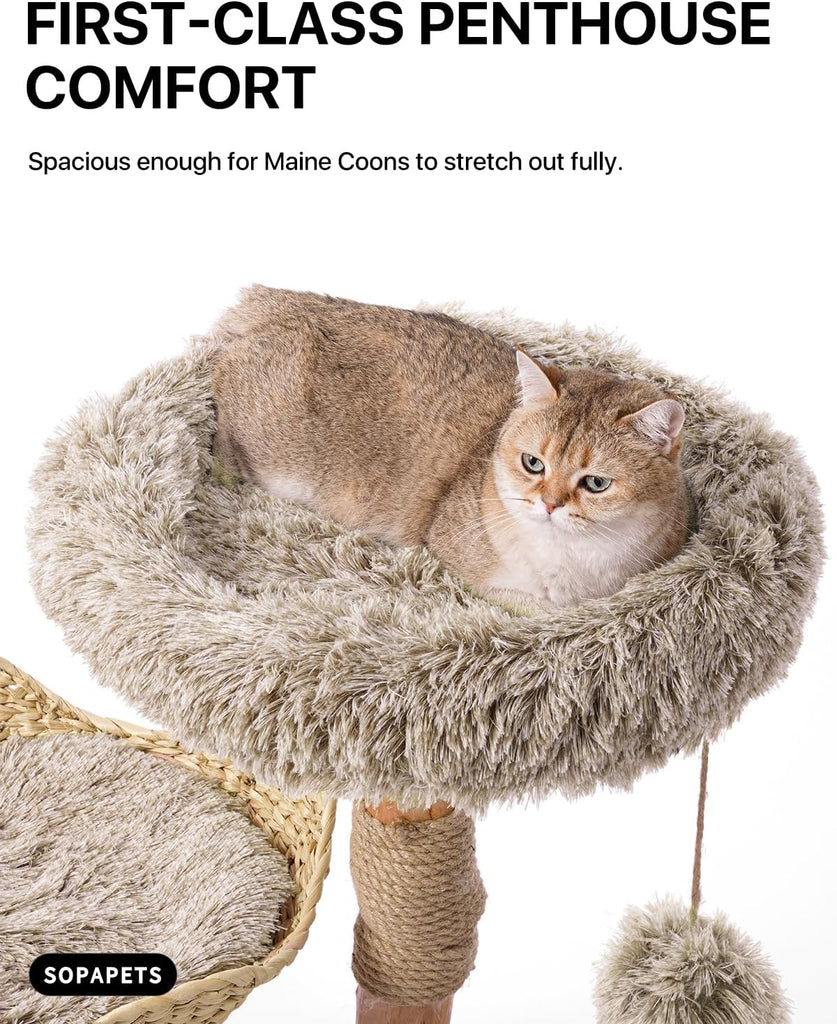 Solid Wood Cat Tree, Modern Cat Tower for Indoor Large Cats, Beige