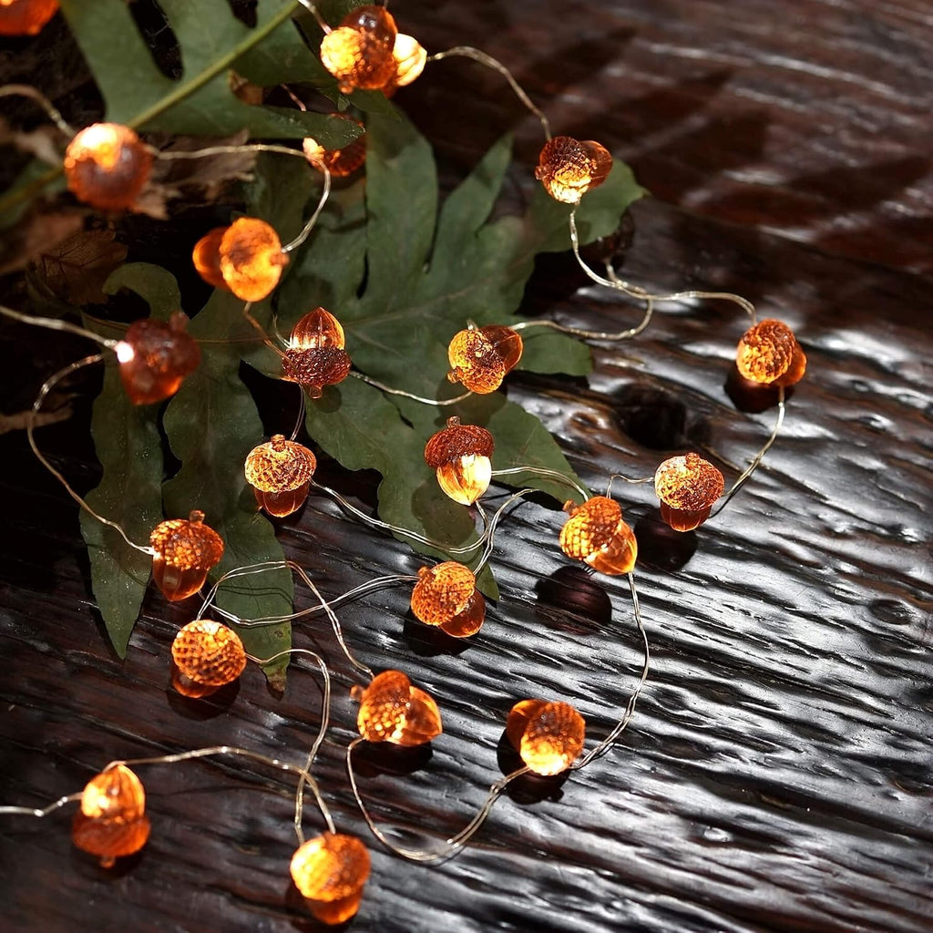 Decorative Fairy Acorn String Lights Thanksgiving Decoration Autumn Garland Cute Novelty Lights 30 LEDs 10 ft Battery
