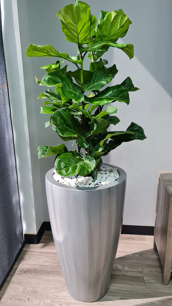 Timbal Fiberglass 24.4 in Tall Elegant Planter Indoor Outoor Colors