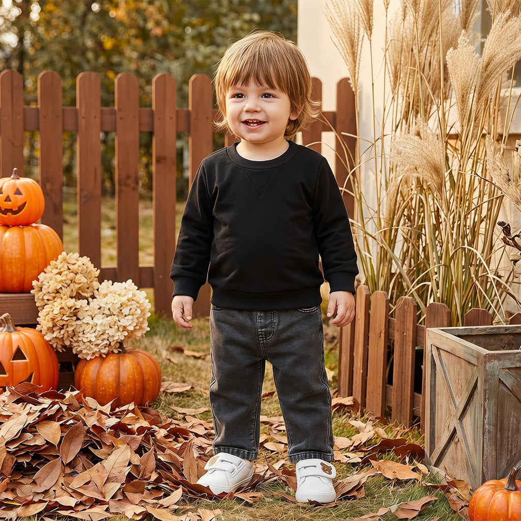Toddler Boy Fall Outfits Solid Long Sleeve Pullover Denim Pants 2 Pcs Set